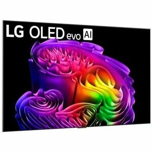 65INCH OLED evo Flush Fit Gal