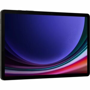 Tab S9 8+128GB WIFI Gray GUMI