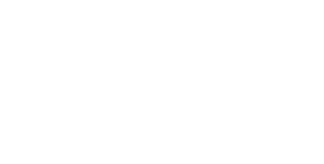 PeopleLink logo in white